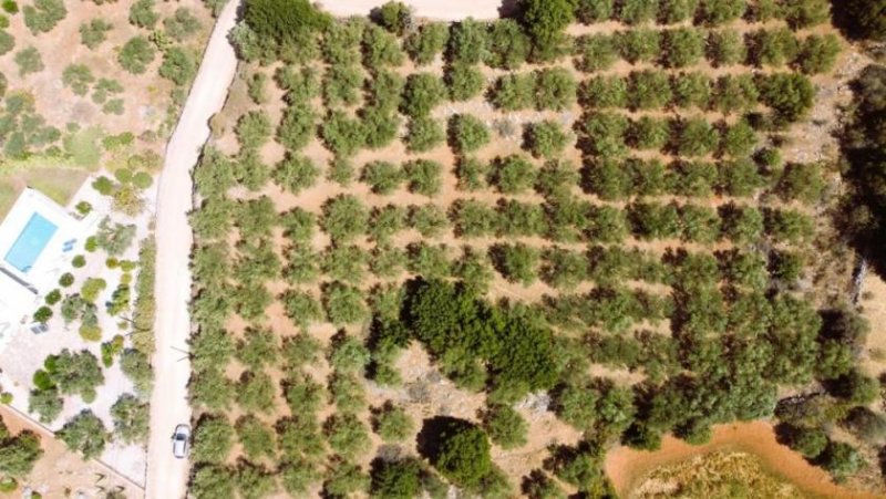 Litsarda Kreta, Litsarda: Erstklassiges Grundstück zum Verkauf in Apokoronas mit Baugenehmigung und atemberaubender Aussicht Grundstück